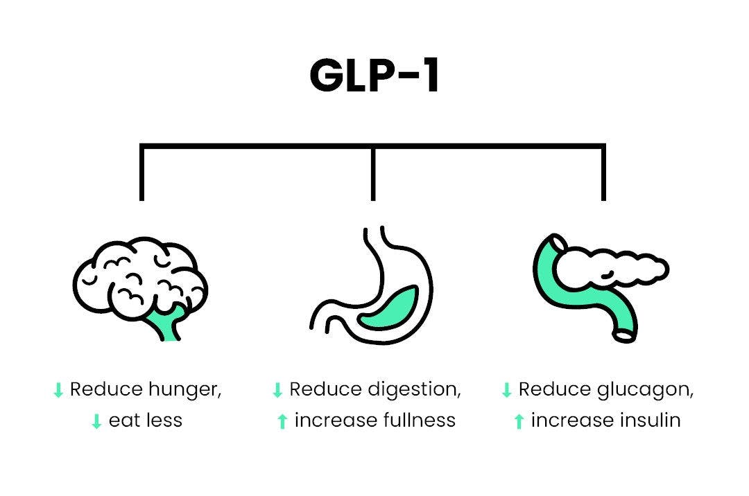How GLP-1 works graphic